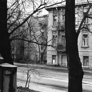 Вид на 1-й Муринский с угла Парголовской улицы. 1993 г.