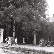 1987 г. Кушелевка.