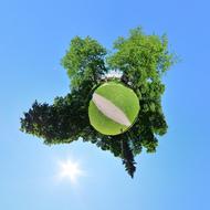 «Планета» газона перед зданием Лесотехнической академии